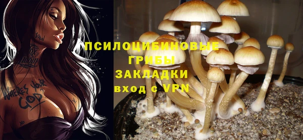 бутират Алексин